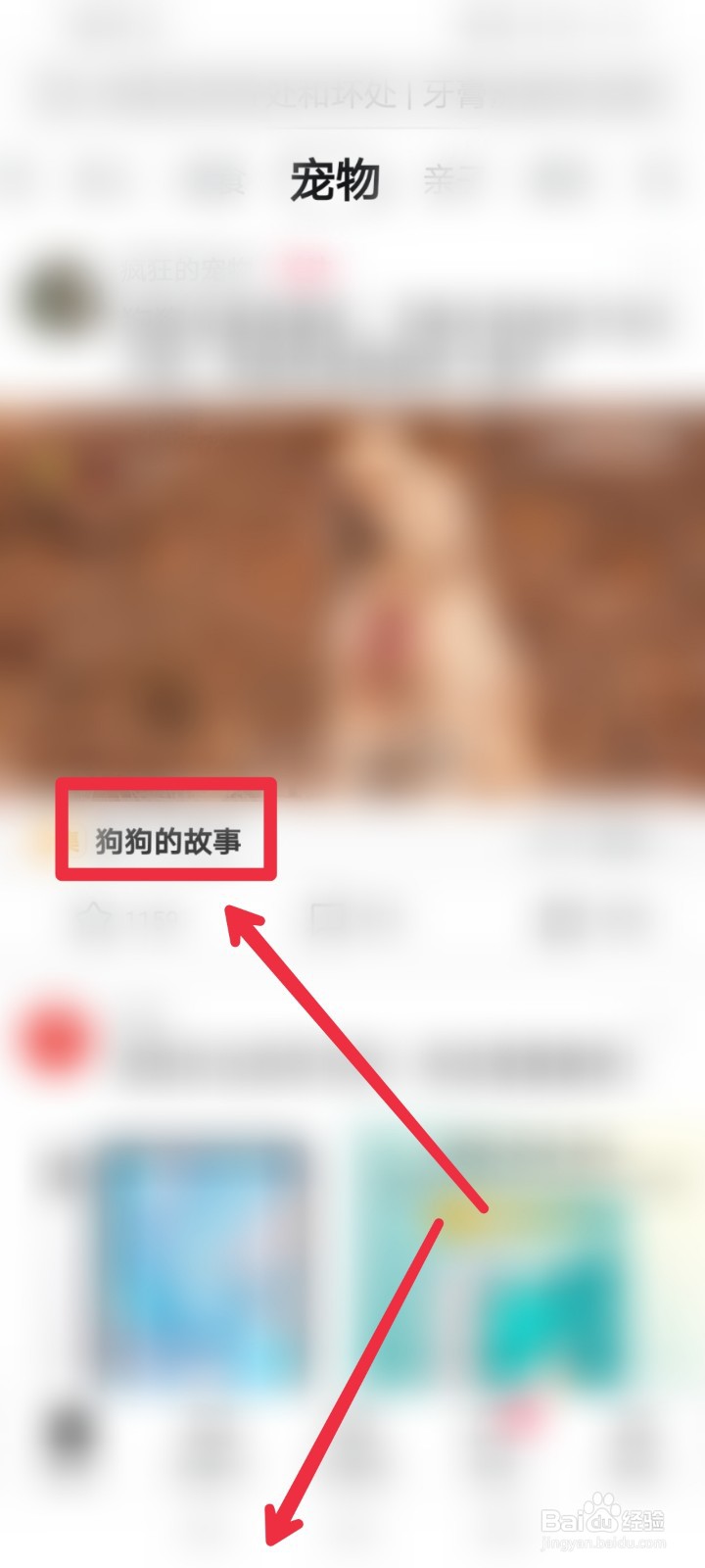 西瓜视频app怎么快速找到宠物视频