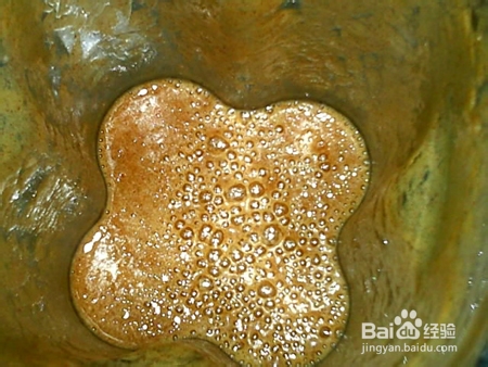 给老公做玫瑰姜枣膏