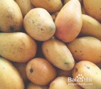 生芒果怎么放才会熟