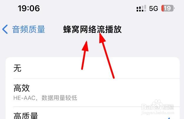 iPhone14如何设置音频质量为无蜂窝网络流播放
