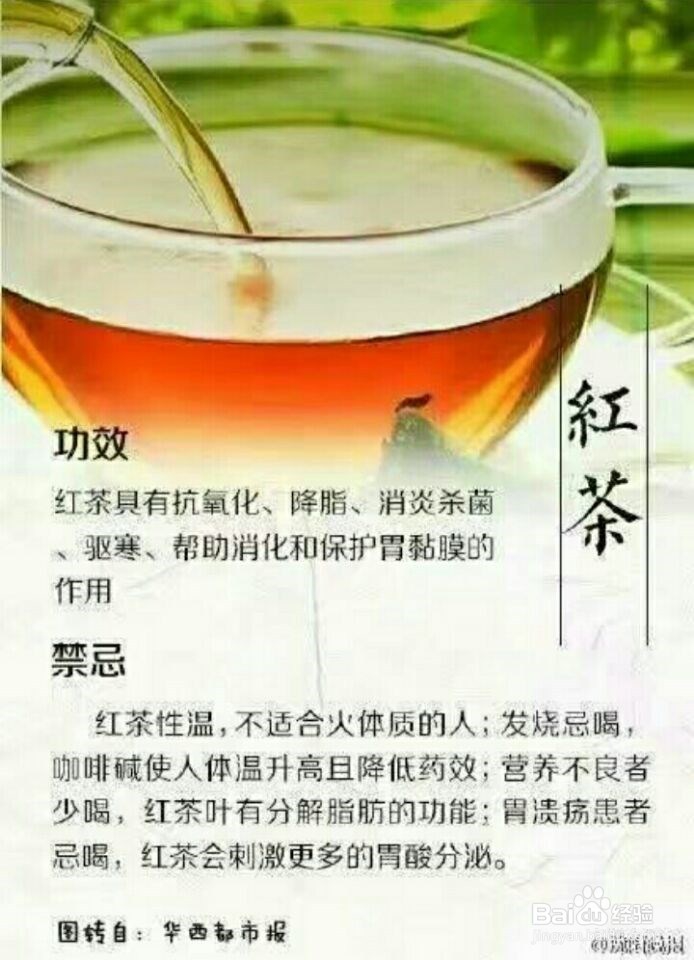 九大茶叶的功效与禁忌