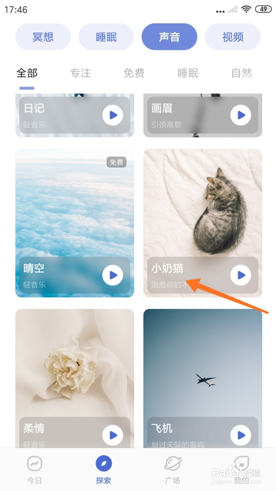 NiceDay中如何试听小奶猫
