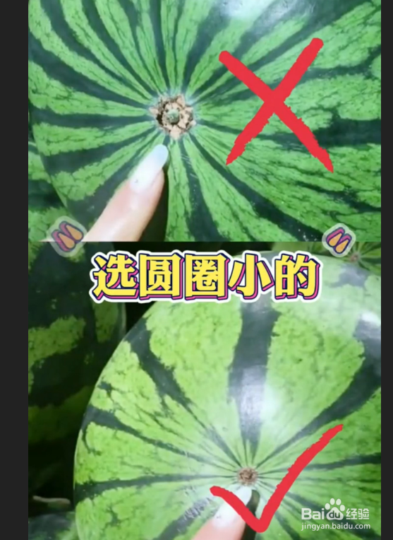如何挑选西瓜