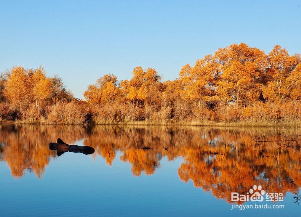 国内情侣最适合的旅游景点