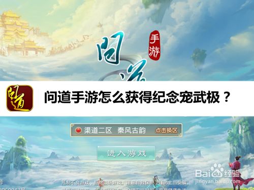 问道手游怎么获得纪念宠武极
