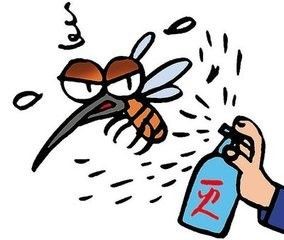 夏天如何驱除蚊子