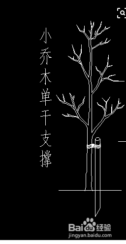 栽植乔木如何套取定额