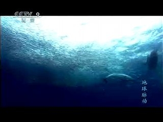 联通贝尔gwh-01网关做路由