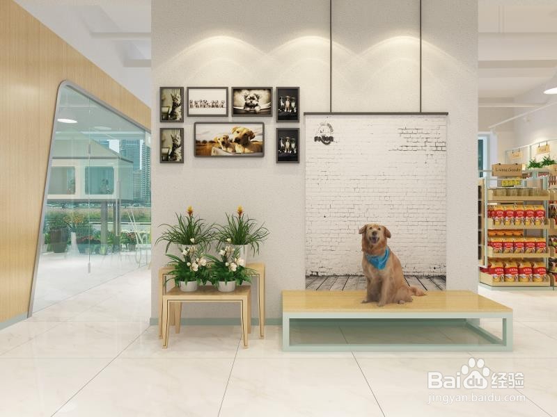 开一家赚钱的宠物店|如何开一家赚钱的宠物店