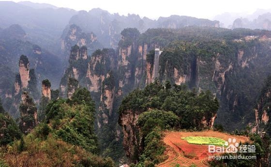 张家界自助游攻略最新给力指南