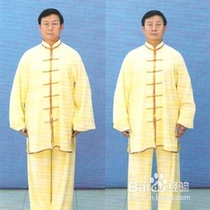 108式杨氏太极拳教程