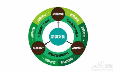 如何选择创业的公司形式