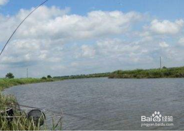 钓鱼水流太快怎么解决