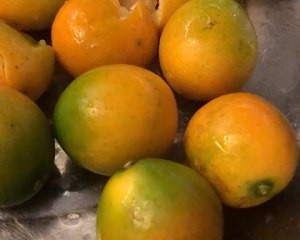 养生食补金桔柠檬膏的做法