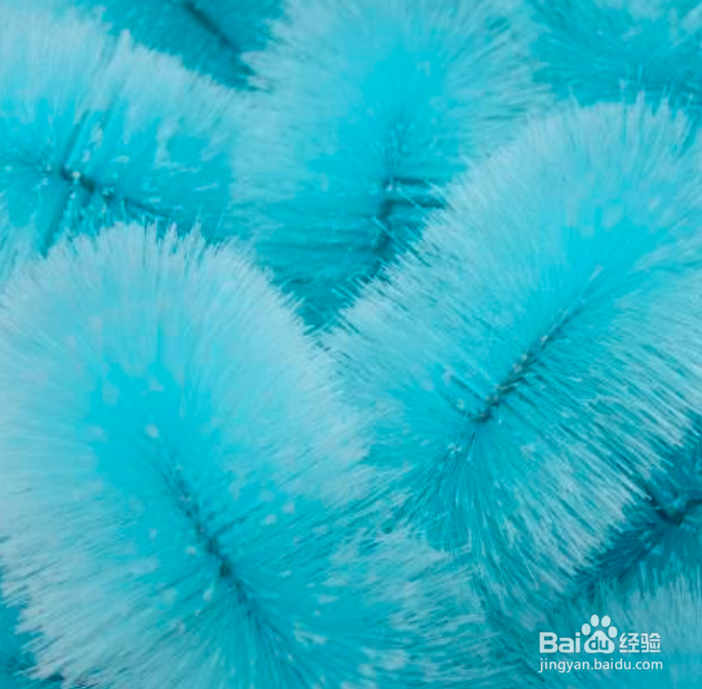 矿泉水桶里有青苔用什么方法清洗