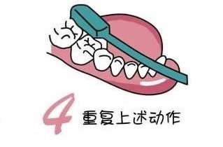 刷牙的方法图解