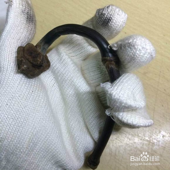 鸡血藤手镯教程