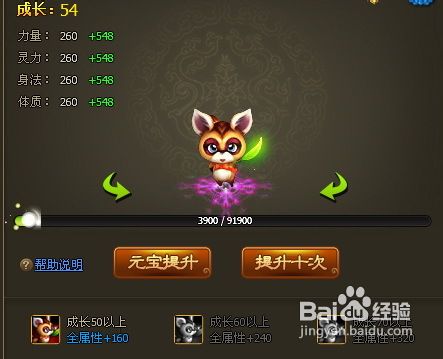 如何让你的醉西游宠物拥有强大的战斗力