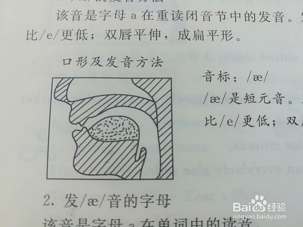 英语音标的前元音如何发音