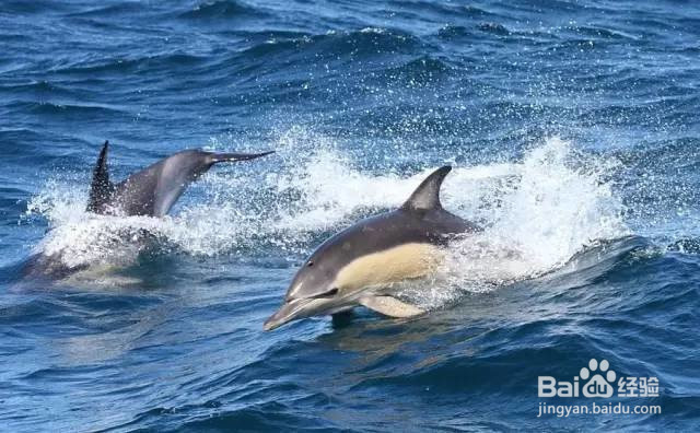 月薪 3000,也能到这个性价比超高的境外地旅行
