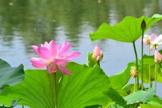 王者荣耀哪吒玩法攻略