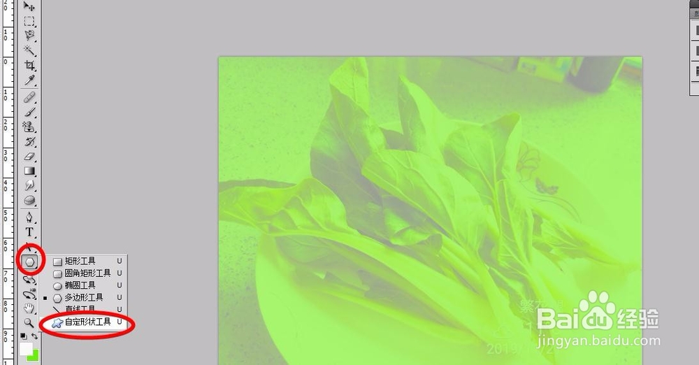 零基础学PS：自定义形状工具制作美食节海报