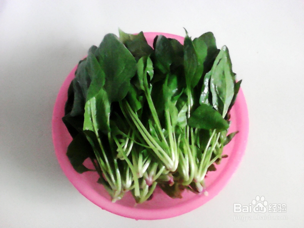 适合宝宝菠菜