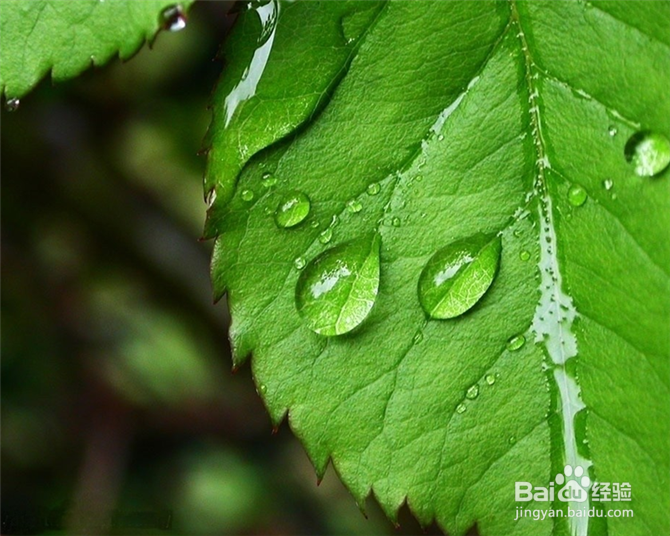 浅谈语文教学目标与方法
