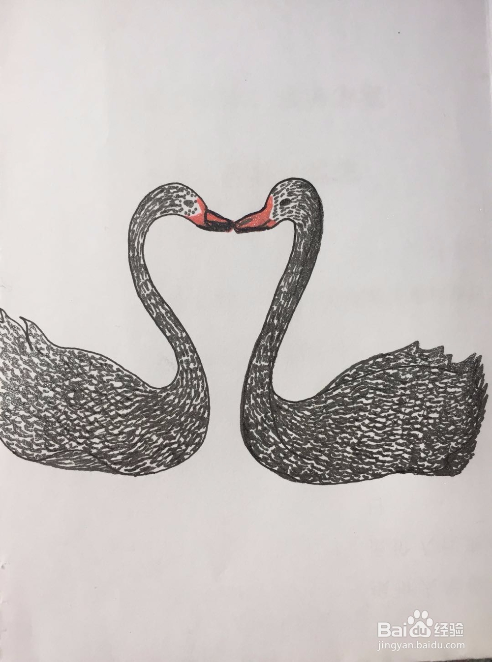 dxdll手绘之黑天鹅