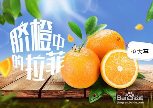 橙子哪个品种好