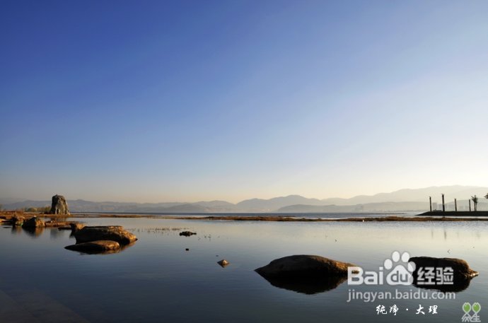 51@365【大理】晨曦中的洱海月湿地公园