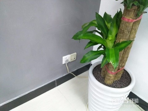 86式智能面板AP安装