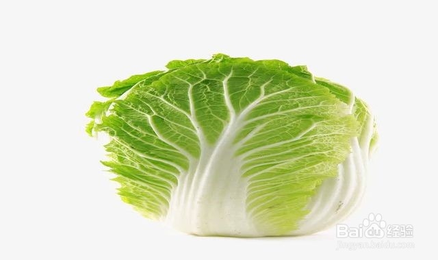 如何储存白菜