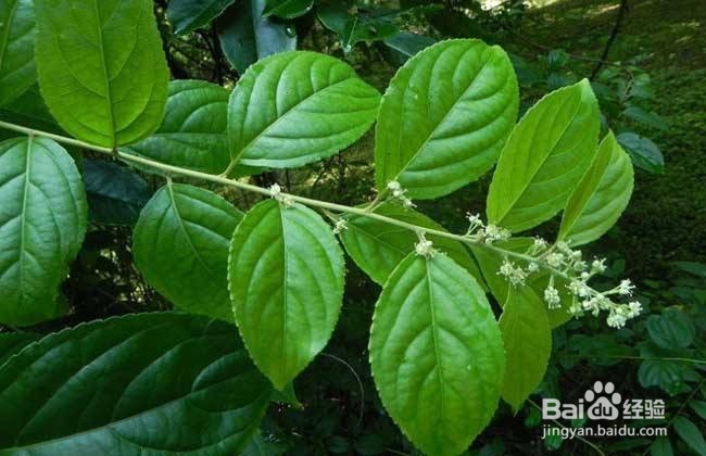 最伤肾的6种生活习惯