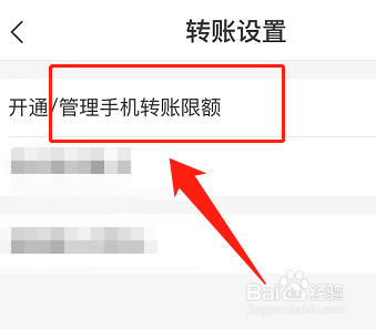 单笔最高消费金额怎么改