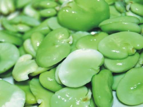 葱油鲜炒蚕豆瓣