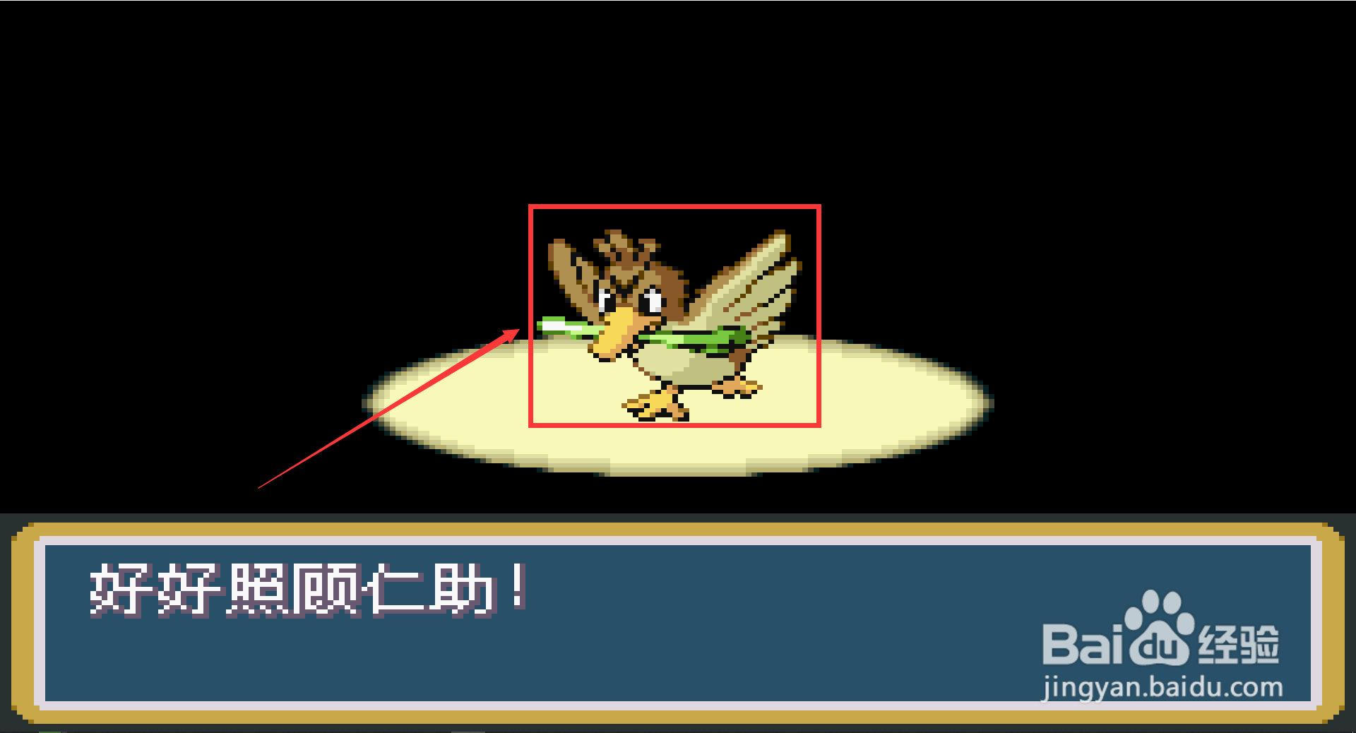 口袋妖怪叶绿大葱鸭怎么获得