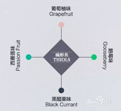 葡萄酒的风味来源