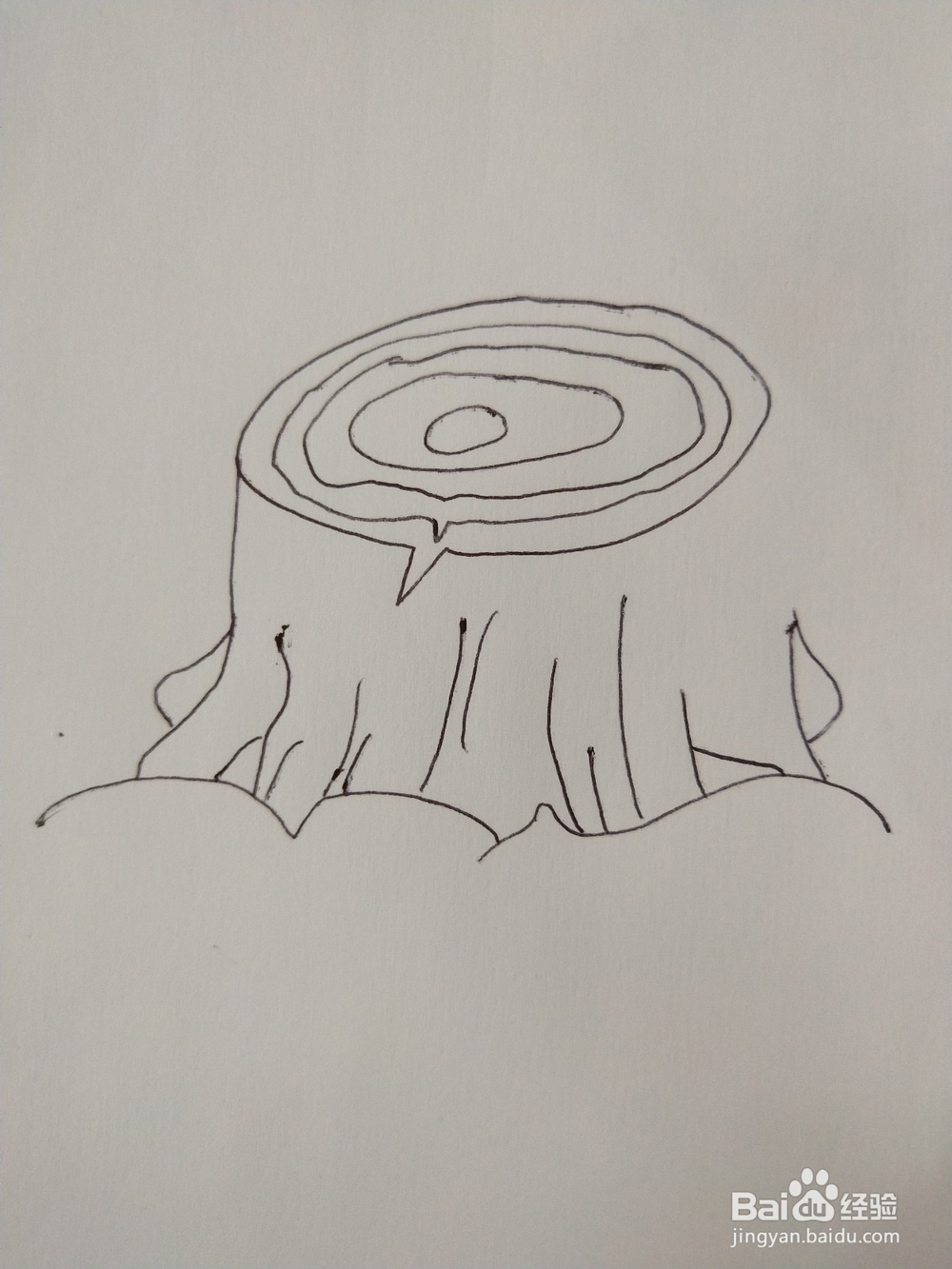 教你画一个寓意新生的树桩