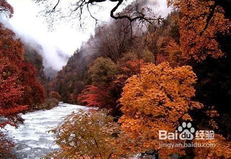 国庆旅游四川红叶毕棚沟红叶游旅游攻略