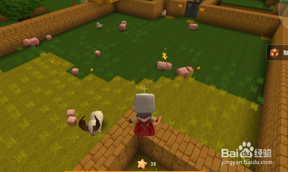 迷你世界怎么引猪