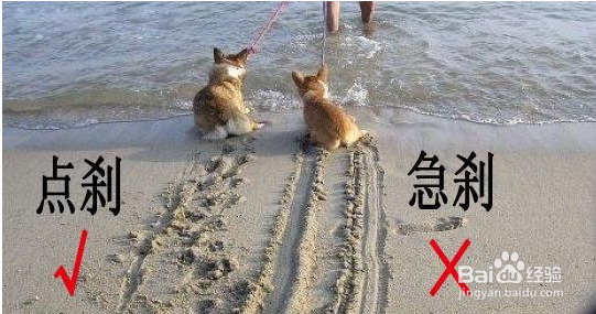 高速公路最恐怖的头号杀手竟然是它