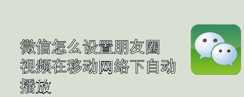 微信怎么设置朋友圈视频在移动网络下自动播放