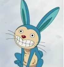 热血海贼王新版宠物有哪些技能属性?