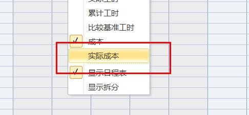 project如何关闭实际成本属性#校园分享#