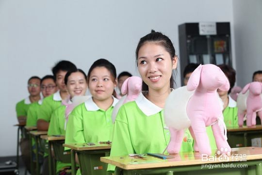 哪里宠物美容学校比较好