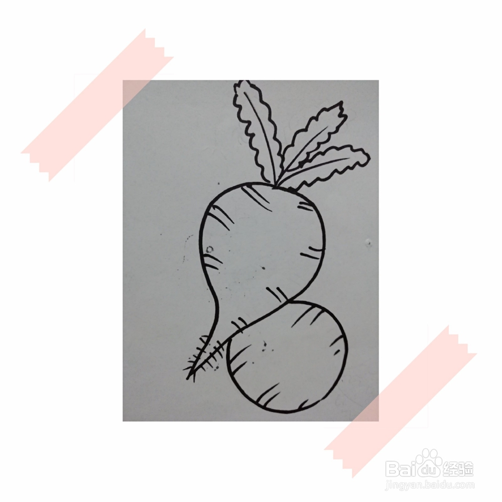 儿童简笔画教程画萝卜