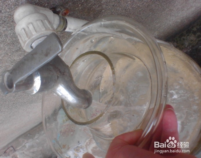 如何腌制酸豆角