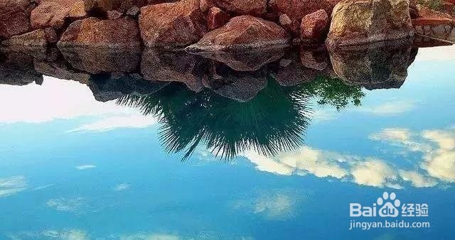 手机摄影的5种光线运用技巧