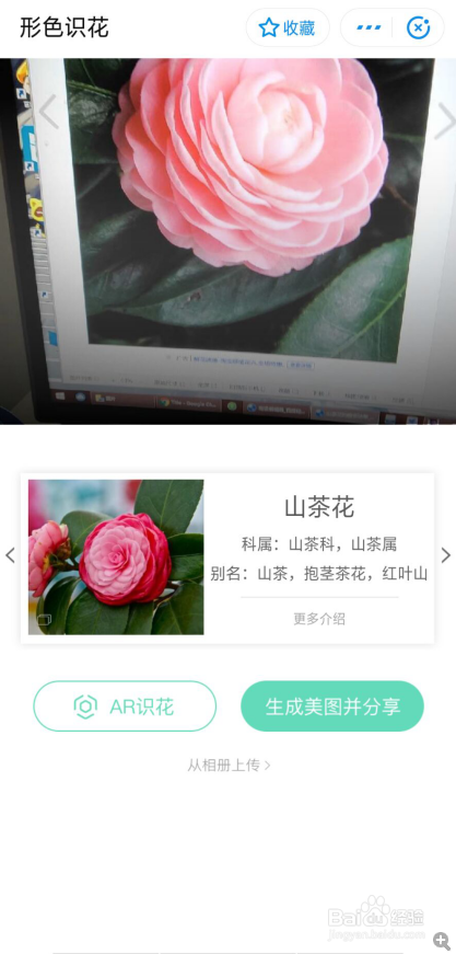 有没有识别植物的APP软件